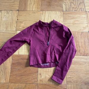 Tala burgundy aster crop